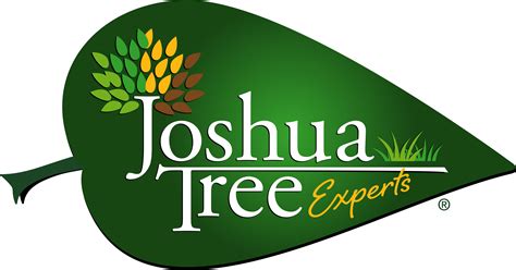 joshua tree tree service|joshua tree experts.